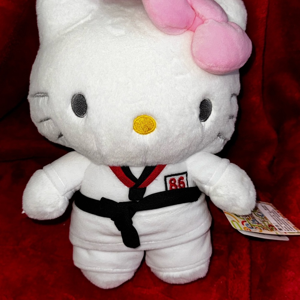 Sanrio Hello Kitty Karate with bow Sport Plush Toy - White and Pink